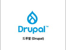 드루팔 (Drupal)