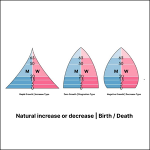 Population Pyramid Type - Natural increase or decrease