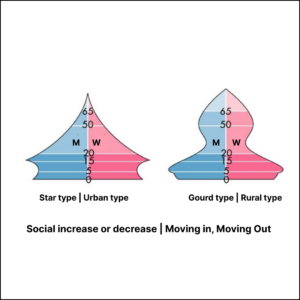 Population Pyramid Type - Social increase or decrease