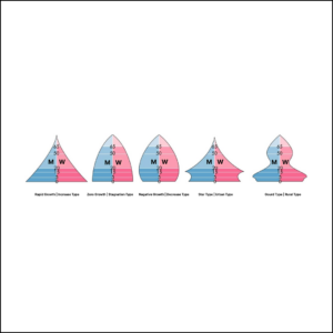 Population Pyramid | The Solopreneur