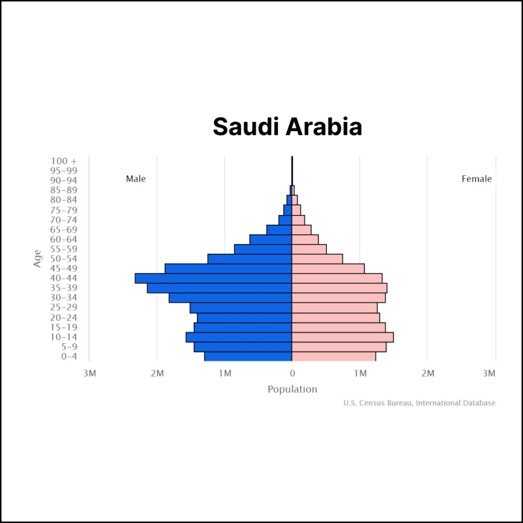 Saudi Arabia Population | Solopreneur