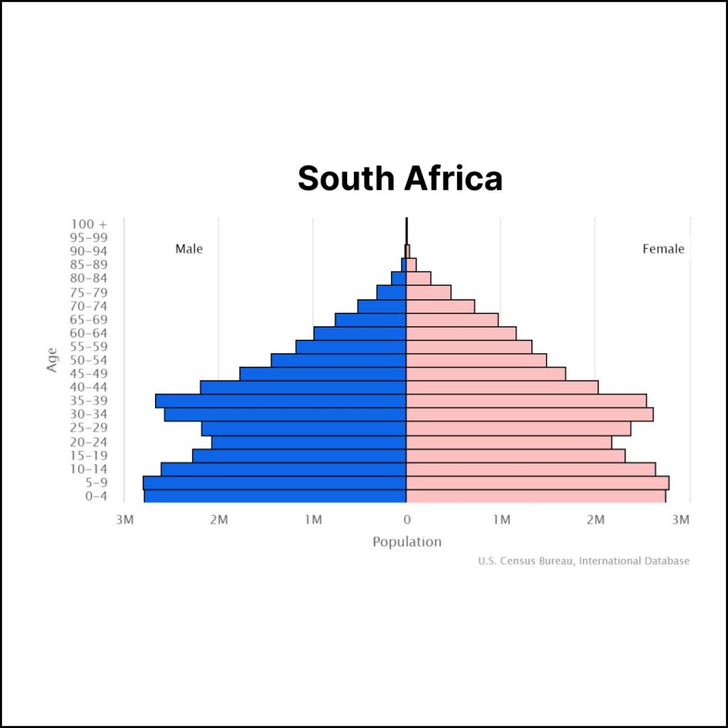 South Africa Population | Solopreneur